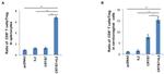 CD25 Antibody in Flow Cytometry (Flow)