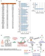 CD45 Antibody in Flow Cytometry (Flow)