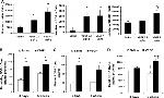 CD117 (c-Kit) Antibody in Flow Cytometry (Flow)