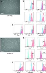 CD45 Antibody in Flow Cytometry (Flow)