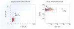 FOXP3 Antibody in Flow Cytometry (Flow)