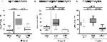 F4/80 Antibody in Immunohistochemistry (Paraffin) (IHC (P))