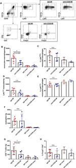 FOXP3 Antibody in Flow Cytometry (Flow)