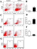 F4/80 Antibody in Flow Cytometry (Flow)