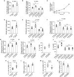 PPAR gamma Antibody in Flow Cytometry (Flow)