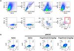 CD3e Antibody in Flow Cytometry (Flow)