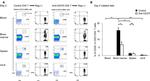 CD3e Antibody in Flow Cytometry (Flow)