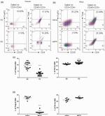 CD3e Antibody in Flow Cytometry (Flow)