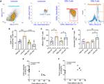 CD3 Antibody in Flow Cytometry (Flow)