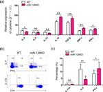 IFN gamma Antibody in Flow Cytometry (Flow)