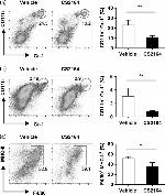 F4/80 Antibody in Flow Cytometry (Flow)