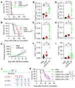 FOXP3 Antibody in Flow Cytometry (Flow)