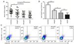 FOXP3 Antibody in Flow Cytometry (Flow)