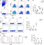 CD44 Antibody in Flow Cytometry (Flow)