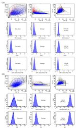 CD29 (Integrin beta 1) Antibody in Flow Cytometry (Flow)