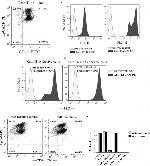 CD44 Antibody in Flow Cytometry (Flow)