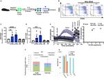 CD44 Antibody in Flow Cytometry (Flow)