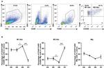 CD45 Antibody in Flow Cytometry (Flow)