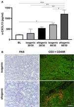 CD45R (B220) Antibody in Immunohistochemistry (IHC)