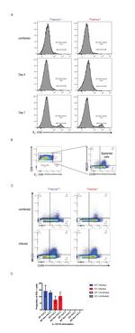 IFN gamma Antibody in Flow Cytometry (Flow)