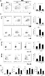 F4/80 Antibody in Flow Cytometry (Flow)