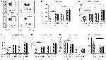 IFN gamma Antibody in Flow Cytometry (Flow)