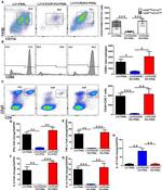 F4/80 Antibody in Flow Cytometry (Flow)