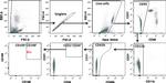 CD45 Antibody in Flow Cytometry (Flow)