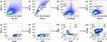 CD3e Antibody in Flow Cytometry (Flow)