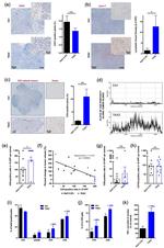 CD3e Antibody in Flow Cytometry (Flow)