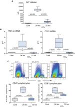 CD3 Antibody in Flow Cytometry (Flow)