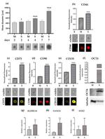 CD44 Antibody in Flow Cytometry (Flow)