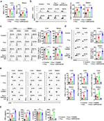 CD44 Antibody in Flow Cytometry (Flow)