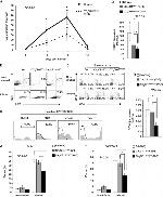 CD25 Antibody in Flow Cytometry (Flow)