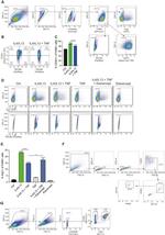 CD45 Antibody in Flow Cytometry (Flow)