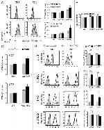 CD25 Antibody in Flow Cytometry (Flow)