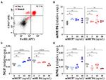 CD117 (c-Kit) Antibody in Flow Cytometry (Flow)