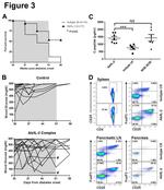 CD25 Antibody in Flow Cytometry (Flow)