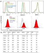 MHC Class II (I-A/I-E) Antibody in Flow Cytometry (Flow)