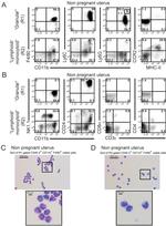 CD3 Antibody in Flow Cytometry (Flow)