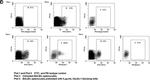 Rat IgG2a kappa Isotype Control in Flow Cytometry (Flow)