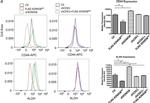 Rat IgG2a kappa Isotype Control in Flow Cytometry (Flow)