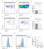 CD11b Antibody in Flow Cytometry (Flow)