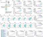 CD44 Antibody in Flow Cytometry (Flow)