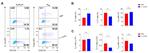 IFN gamma Antibody in Flow Cytometry (Flow)