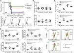 CD3e Antibody in Flow Cytometry (Flow)