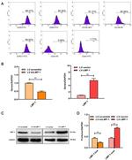 CD45 Antibody in Flow Cytometry (Flow)