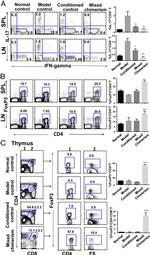 IFN gamma Antibody in Flow Cytometry (Flow)