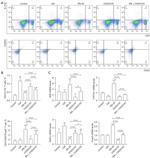 FOXP3 Antibody in Flow Cytometry (Flow)