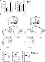 CD3 Antibody in Flow Cytometry (Flow)